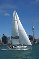 Pride of Auckland - Explore NZ image 1