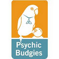 Psychic Budgies logo