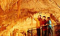 Ruakuri Cave image 1