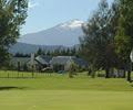 Ruapehu Country Lodge image 6