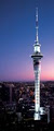 Sky Tower image 1