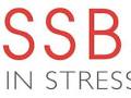StressBox logo