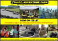 Taupo Adventure park image 2