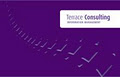 Terrace Consulting logo