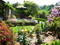 Terrace Hill Garden image 4