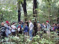 The Brook Waimarama Sanctuary image 3