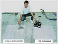 The Carpet Cleaner image 1
