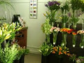 The Pollen Room Florist image 1