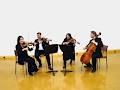 The Verano String Quartet image 2