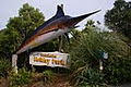 Tutukaka Holiday Park image 4