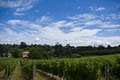 Waiheke Island Wine Tours image 5
