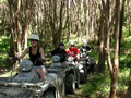 Wairere Valley Quad Bike Adventures image 1