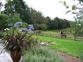 Wairoa Valley Bed and Breakfast image 2