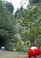 Waitakaruru Arboretum and Sculpture Park image 6
