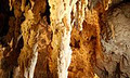 Waitomo Caves Hotel image 2