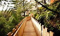 Waitomo Caves Hotel image 6