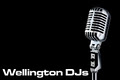 Wellington DJs logo