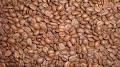 Whangarei Coffee Roasters (Beanlab) image 3