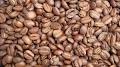 Whangarei Coffee Roasters (Beanlab) image 6