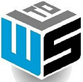 Wired Services Ltd logo