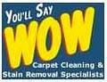 You'll Say WOW Carpet Cleaning - Central and East Auckland image 2
