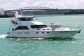 Zefiro Charters - Boat Hire, fishing charter auckland image 3