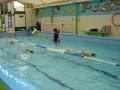 Ace learn to swim image 2