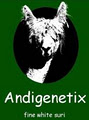 Andigenetix -fine white suri- image 4