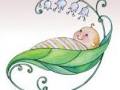 Baby Bloom Midwifery logo