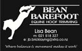 Bean Barefoot Equine Hoof Trimming image 1