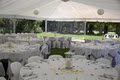 EVENTS AUCKLAND MARQUEE AND PARTY HIRE LIMITED image 5