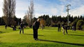 Ellesmere Golf Club image 2
