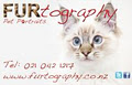 FURtography - Pet Portraits image 5