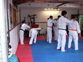 Fudoshin Martial Arts image 2
