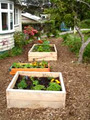 Home Harvest Organic Planter Boxes image 6