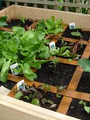 Home Harvest Organic Planter Boxes logo