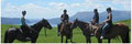 Horse Trekking Lake Okareka, Rotorua logo