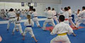 Kubo Ken Shi Kai - IKA - Rotorua Martial Arts Acadamy image 2