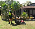 Lawn Shark Lawn Mowing Services image 2