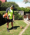 Lawn Shark Lawn Mowing Services image 6