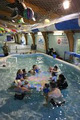 Makino Aquatic Centre image 4