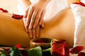 Oasis Body Therapy image 1