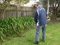Select Lawn Mowing Auckland City image 2