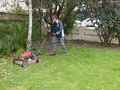 Select Lawn Mowing Auckland City image 4