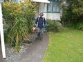 Select Lawn Mowing Auckland City image 6