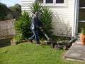 Select Lawn Mowing image 3