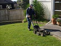 Select Lawn Mowing image 4