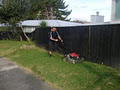 Select Lawn Mowing image 4