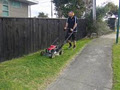 Select Lawn Mowing image 5
