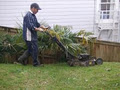 Select Lawn Mowing image 6